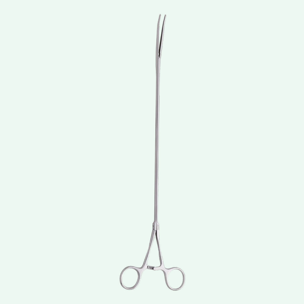 dennis-dissector